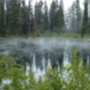 Meet your Posher, Liam